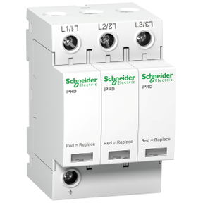 A9L65301 fotografija – Schneider- sirotin