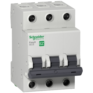 EZ9F34310 Hình ảnh sản phẩm Schneider Electric