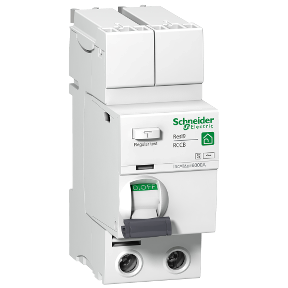R9r81291 Resi9 Rccb 2p 100 A Ac Type 230 V 30 Ma