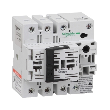 Schneider Electric GS1DD4 Picture