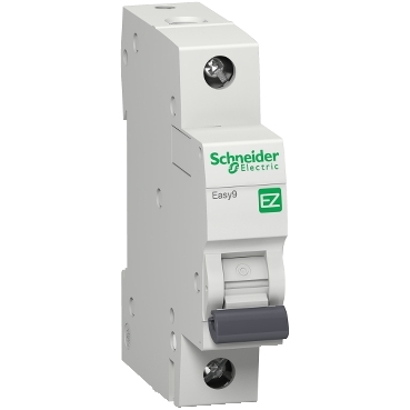 SCHNEIDER ELECTRIC Disjoncteur unipolaire GFI 20A NAGF20CP