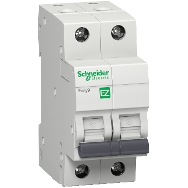 EZ9F76220 Product picture Schneider Electric