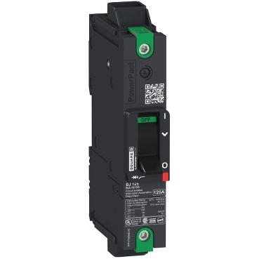 Schneider Electric BDP16080 Picture