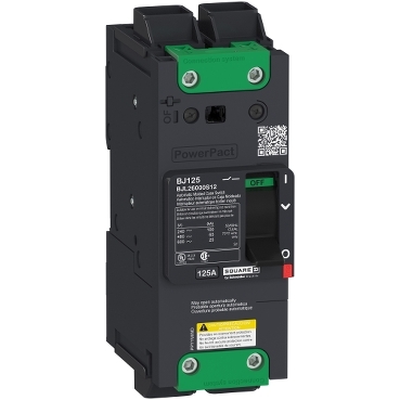 Schneider Electric BGM26000S12 Picture