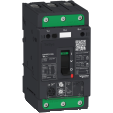 Schneider Electric GV4PE25S Picture