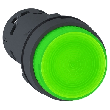 SCHNEIDER ELECTRIC ILLUMINATED PUSH BUTTON,22MM,GREEN - Illuminated Push  Buttons with Contact Blocks - TLQXB4BW33G5