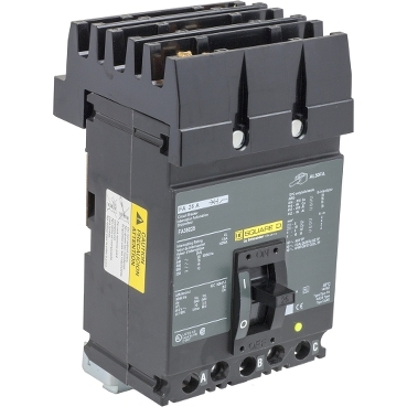 Schneider Electric FH36025 Picture