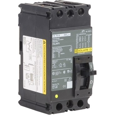Schneider Electric FAL24070 Picture