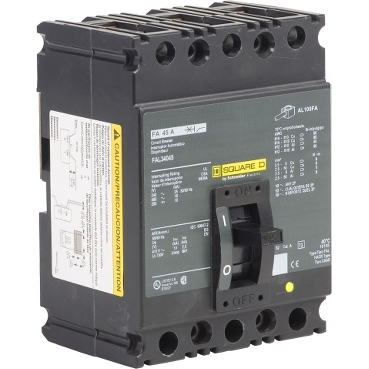 Schneider Electric FAL34045 Picture