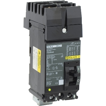 Schneider Electric FA26080AB Picture