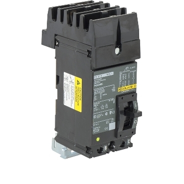 Schneider Electric FA24020BC Picture