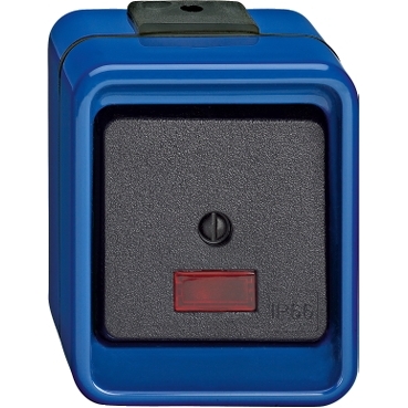 375998 - Wipptaster, Wechsel, 1-polig, blau, SCHLAGFEST  
