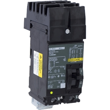 Schneider Electric FH26030BC Picture
