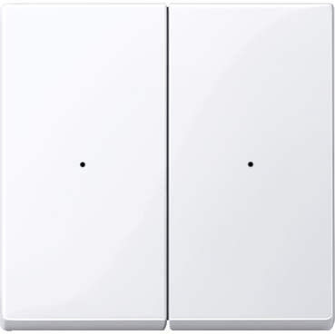 619225 - Wippen für Tastermodul 2fach, aktivweiß glänzend, System 