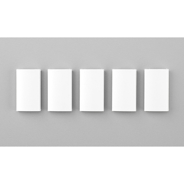 1269691 - Tastenleiste für 1575272 (5 Stück) | Schneider Electric 
