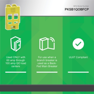 Schneider Electric PKSB1QOBF Picture