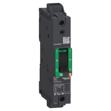 Schneider Electric BDL16015 Picture