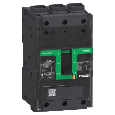 Schneider Electric BGF36110 Picture