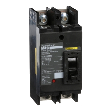 Schneider Electric QGP22200TM Picture