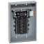 Schneider Electric QO124M125P Picture