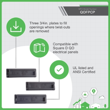 QOFP Schneider Electric Imagen del producto