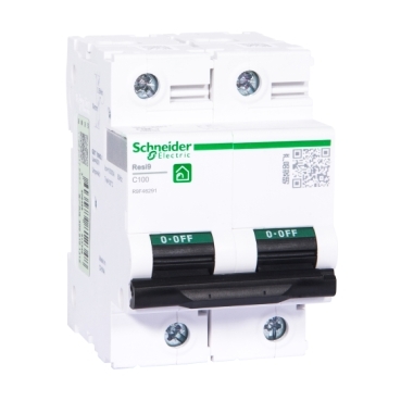 R9F46291 Schneider Electric 图片