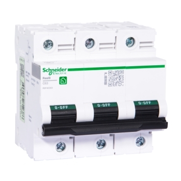 R9F46363 Schneider Electric 图片