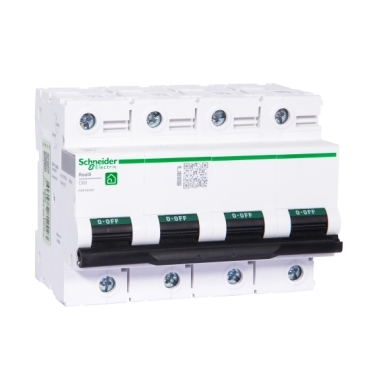 R9F46480 Schneider Electric 图片