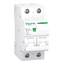 Imagem do Produto R9F64216 Schneider Electric