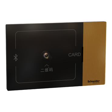 RGE17030702 Schneider Electric 图片