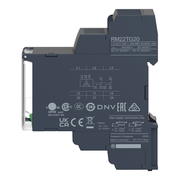 Image produit RM22TG20 Schneider Electric