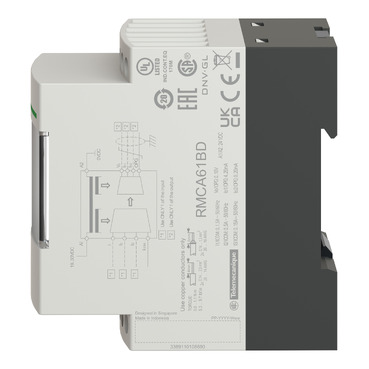Afbeelding product RMCA61BD Schneider Electric