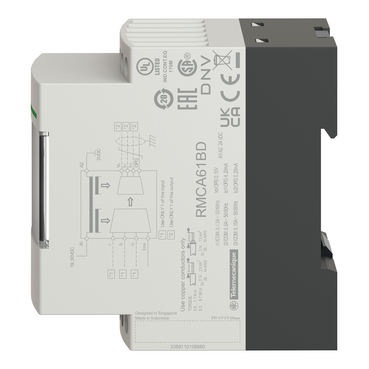 Afbeelding product RMCA61BD Schneider Electric