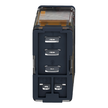 Afbeelding product RPM12BD Schneider Electric
