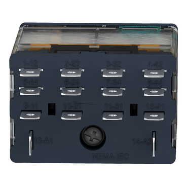 Afbeelding product RPM42BD Schneider Electric