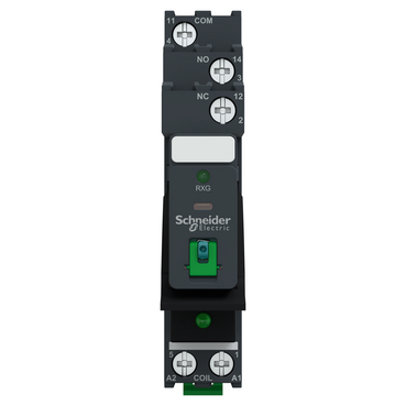 Afbeelding product RXG12BDPV Schneider Electric