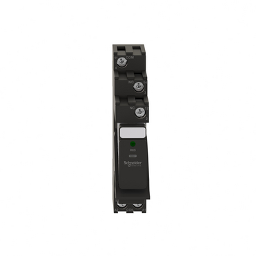 Image produit RXG13BDPV Schneider Electric