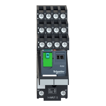 Image produit RXM4AB2BDPVS Schneider Electric