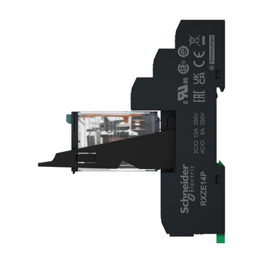 Bild av RXM4AB2BDPVP Schneider Electric