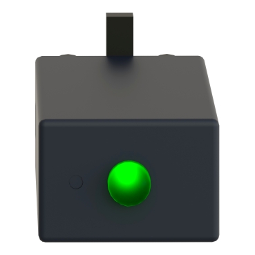 Schneider Electric RZM021FP Picture