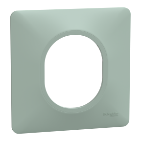Ovalis - plaque de finition - 1 poste - sauge