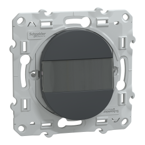 Ovalis - poussoir à fermeture avec porte-étiquette - 10AX - Anthracite