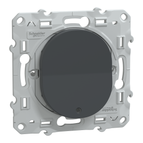 Ovalis - poussoir à fermeture lumineux - 10AX - LED bleu 250V - Anthracite