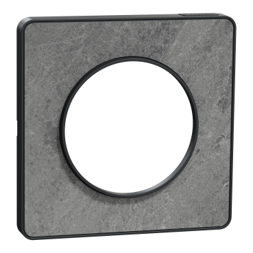 Plaque Schneider Odace Touch 2 Postes – Pierre Galet – Neuve