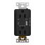 Schneider Electric SQR55153BK Picture