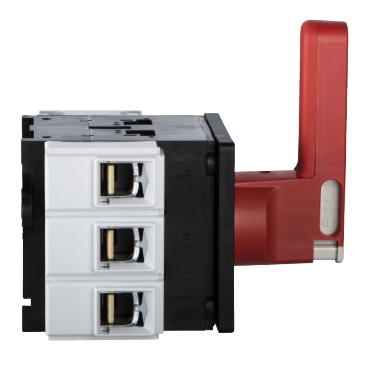 TeSys Vario - emergency stop switch disconnector - 125 A - on door-3