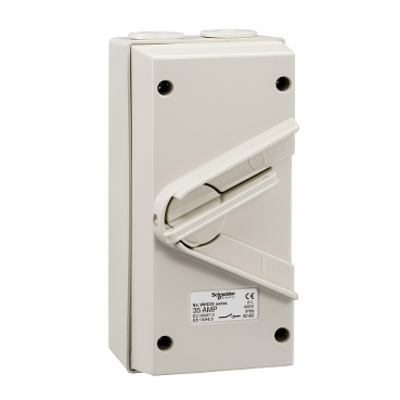 Kavacha - 35A - 440V - Surface Mount Double Pole Isolating Switch - IP66