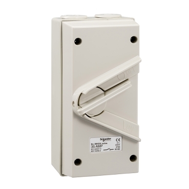 WHD35_GY - Kavacha - 35A - 440V - Surface Mount Double Pole 