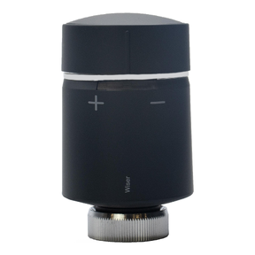Anthracite Radiator thermostat, Wiser