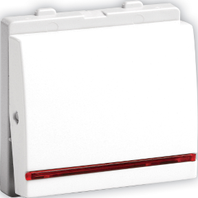Opale Switch with Indicator Lamp 2-Pole 20A, White